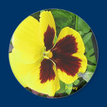 Giant Pansy Gift Magnet magnets
