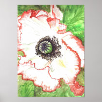 'Giant Poppy' Poster
