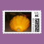 Giant Pumpkin Postage stamps