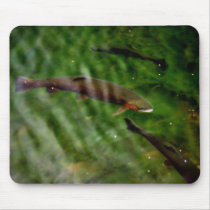 Giant Rainbow Trout Mousepad