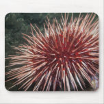 Giant Red Sea Urchin -  Mousepad