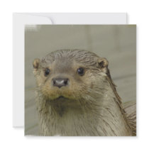 Giant River Otter Invitations