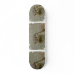 Giant River Otter  Skateboard