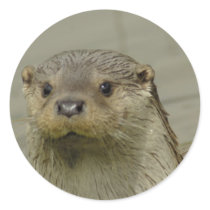 Giant River Otter Stickers