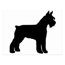 Giant Schnauzer (black) Postcards