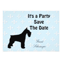 Giant Schnauzer ~ Blue w/White Diamond Design Announcement