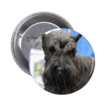 Giant Schnauzer Button