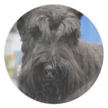 Giant Schnauzer Dinner Plate