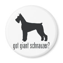 Giant Schnauzer Refrigerator Magnets