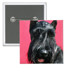 Giant Schnauzer Pinback Button