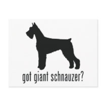 Giant Schnauzer Post Cards