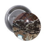 Giant Sea Turtle Archelon Button