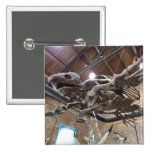 Giant Sea Turtle Archelon Button