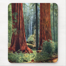 Giant Sequoia Trunks Mousepads