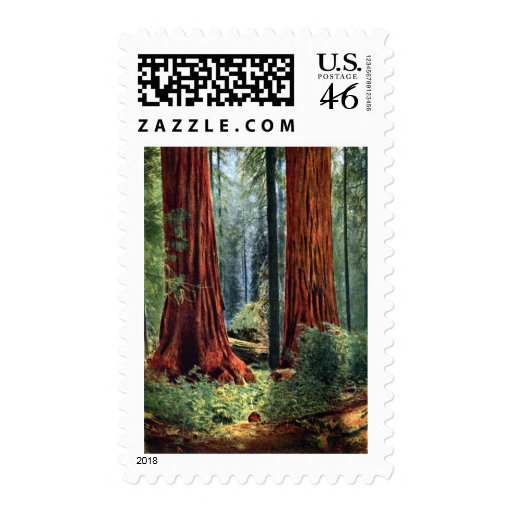 Giant Sequoia Trunks Postage Stamp