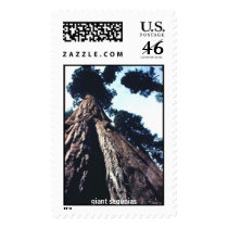 giant sequoias postage by gtk88594 giant sequoias postage