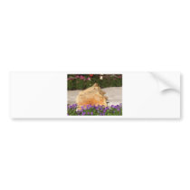 Giant Shell bumper stickers