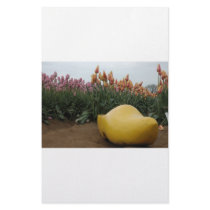 Giant Shoe stationery by akeyms Giant Shoe stationery