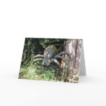 Giant Spider Card