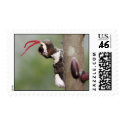 Giant Swallowtail Butter Caterpillar Postage Stamp