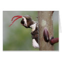 Giant Swallowtail Butterfly Caterpillar Blank Card