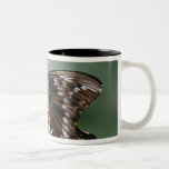 Giant Swallowtail Butterfly Coffee Mug