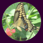 Giant Swallowtail Sticker