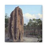 Giant termite mound, Northern Territory, Australia Refrigerator Magnet