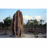 Giant termite mound, Northern Territory, Australia photo sculptures