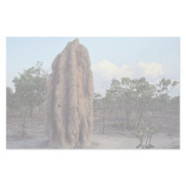 Giant termite mound, Northern Territory, Australia Stationery