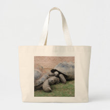 giant tortoises bag