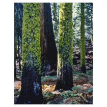 Giant Trees - Sequoia National Forest Personalized Flyer