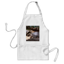 Giant Turtle Kiss Aprons