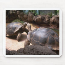 Giant Turtle Kiss Mousepad