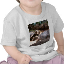 Giant Turtle Kiss Shirts