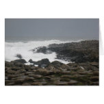 Giants Causeway Card