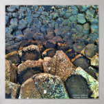 Giants Causeway Northern Ireland Poster