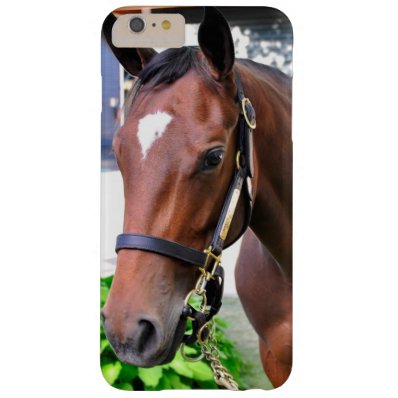 Giant's Causeway's Filly Barely There iPhone 6 Plus Case