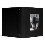 Gibbon Ape Pastel binders