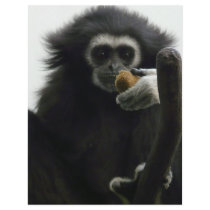 gibbon personalized flyer