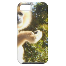 Gibbon iPhone 5 Cases