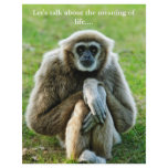 Gibbon, Let's talk about the meaning of life... flyers