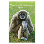 Gibbon, Let's talk about the meaning of life... stationery