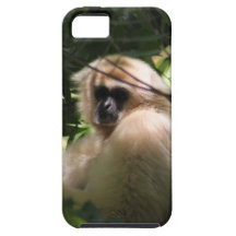Gibbon Monkey iPhone 5 Cover