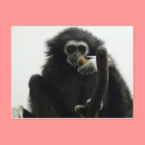 gibbon postcards