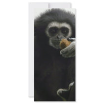 gibbon custom rack cards