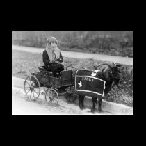 Giddy up, Billy! (Black & White) t-shirts