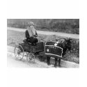 Giddy up, Billy! (Black & White) t-shirts