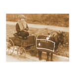 Giddy up, Billy! (sepia) Post Cards