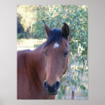 GIDDY UP posters
